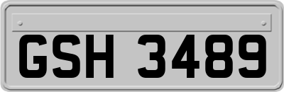 GSH3489