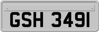 GSH3491