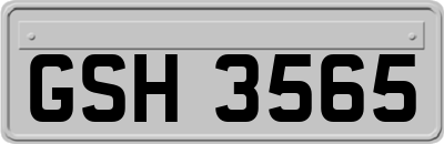 GSH3565