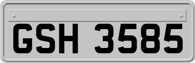 GSH3585