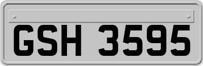 GSH3595