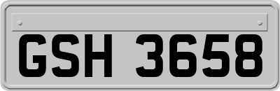 GSH3658