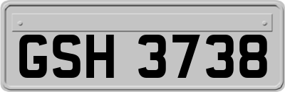 GSH3738
