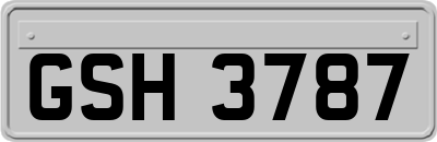 GSH3787