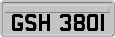GSH3801