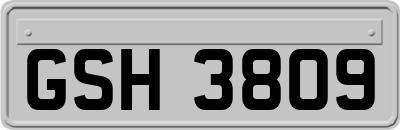 GSH3809