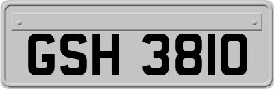 GSH3810