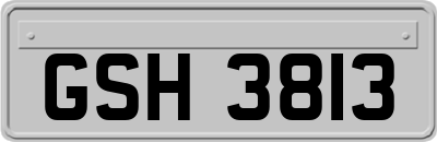 GSH3813