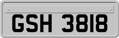 GSH3818