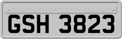 GSH3823