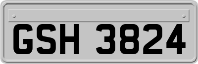 GSH3824