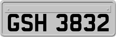 GSH3832