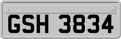 GSH3834