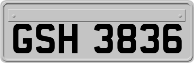 GSH3836