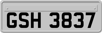GSH3837
