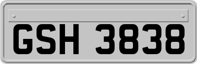 GSH3838