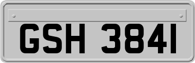 GSH3841