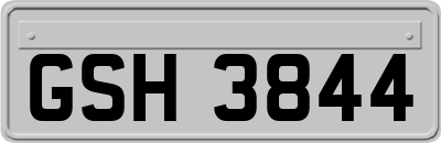 GSH3844