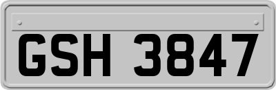 GSH3847