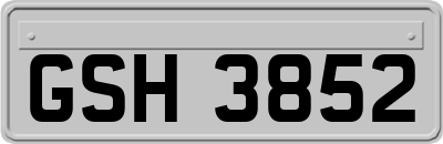 GSH3852