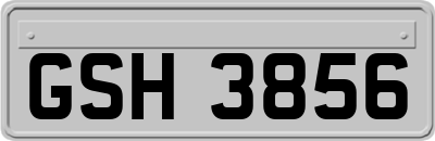 GSH3856
