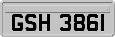 GSH3861