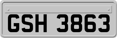 GSH3863