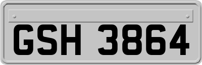 GSH3864