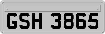 GSH3865