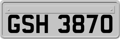 GSH3870