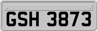 GSH3873