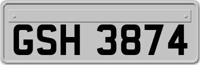GSH3874
