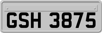 GSH3875