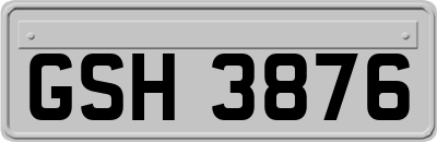 GSH3876
