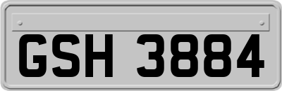 GSH3884