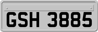 GSH3885