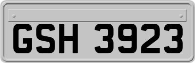 GSH3923