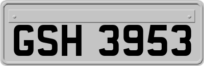 GSH3953