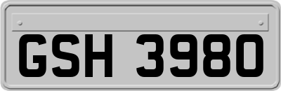 GSH3980