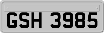 GSH3985