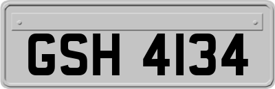 GSH4134