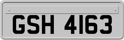 GSH4163