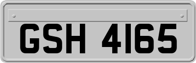 GSH4165