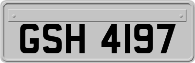 GSH4197