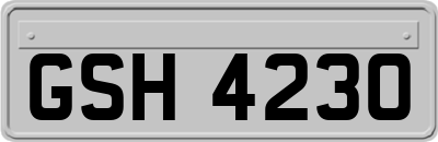 GSH4230