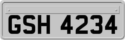 GSH4234