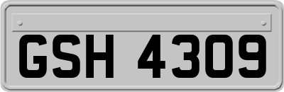 GSH4309