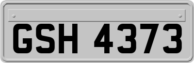 GSH4373