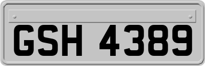 GSH4389