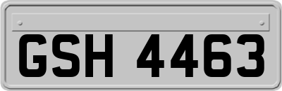 GSH4463